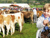 2016-Oberstaufen06