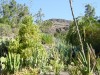 020608-15_urlaub_gran_canaria_mk05