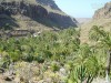 020608-15_urlaub_gran_canaria_mk11