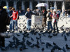 070313_venedig_tag2_mk056