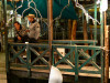 070313_venedig_tag2_mk214