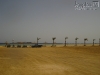 090908-15_marsa_alam_aegypten_mk361.jpg