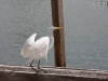 20100930_fahrt_to_key_west_mk136