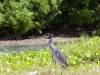 20100930_fahrt_to_key_west_mk145