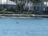 20101001_key_west_mk127