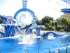 20101007_orlando3_seaworld_mk027
