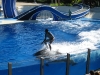 20101007_orlando3_seaworld_mk049