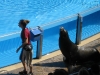 20101007_orlando3_seaworld_mk152
