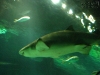20101007_orlando3_seaworld_mk208