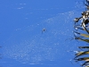 20101008_way_to_cape_coral_mk026
