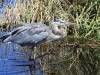 20101008_way_to_cape_coral_mk085