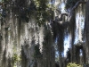 20101008_way_to_cape_coral_mk116