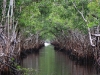 20101012_cape_coral4_mk056
