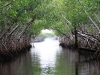20101012_cape_coral4_mk058
