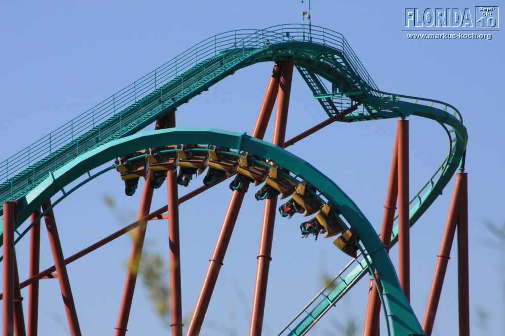 20101014_cape_coral6_busch_gardens_mk220