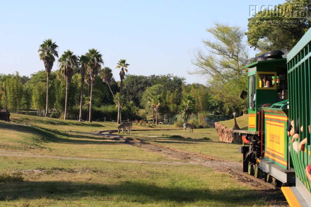 20101014_cape_coral6_busch_gardens_mk292