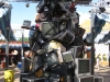 20101014_cape_coral6_busch_gardens_mk017