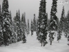 20110105_skiing_blackcomb_mk17