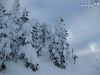 20110110_catskiing_mk12