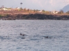 20121026_tag9_mru_dolswim_mk042