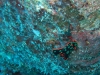 20121027_tag10_mru_tauchen2_mk011