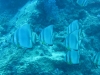 20121027_tag10_mru_tauchen2_mk024