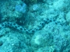 20121027_tag10_mru_tauchen2_mk036