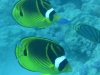 20121027_tag10_mru_tauchen2_mk038