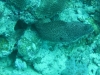 20121027_tag10_mru_tauchen2_mk074