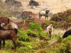 20121028_tag11_mru_mk038
