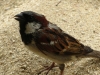 20121029_tag12_mru_mk013
