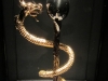 20130505_cadaques_roses_figueras_dali_mk029
