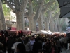 20130505_cadaques_roses_figueras_dali_mk095