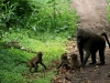 20130924-26_flug_arusha_np_mk080