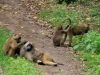 20130924-26_flug_arusha_np_mk082