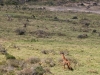 20130924-26_flug_arusha_np_mk103