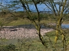 20130924-26_flug_arusha_np_mk130