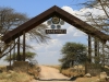 20130928_serengeti_mk133