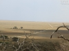 20130928_serengeti_mk208