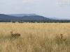 20130929_serengeti_mk228