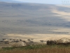 20130930_serengeti_mk244