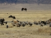 20131001_ngorongoro_krater_mk132