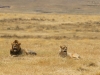 20131001_ngorongoro_krater_mk253