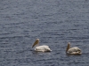 20131001_ngorongoro_krater_mk410