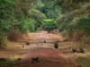 20131002_lake_manyara_np_flug_sansibar_mk025