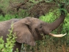 20131002_lake_manyara_np_flug_sansibar_mk047