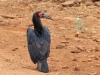 20131002_lake_manyara_np_flug_sansibar_mk108