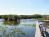 20140421_everglades_mk064