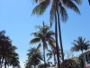 20140424_route_to_palmbeach_mk036