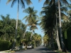 20140424_route_to_palmbeach_mk077